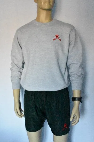 1x Physical Training PTI Jumper/ Sweatshirt (Various Colours) 1704