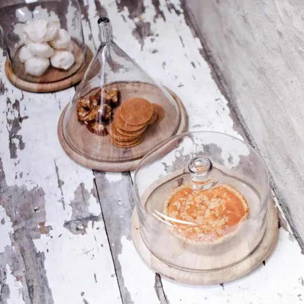 Mango Wood Cake Plate with Flat Top Recycled Glass Dome